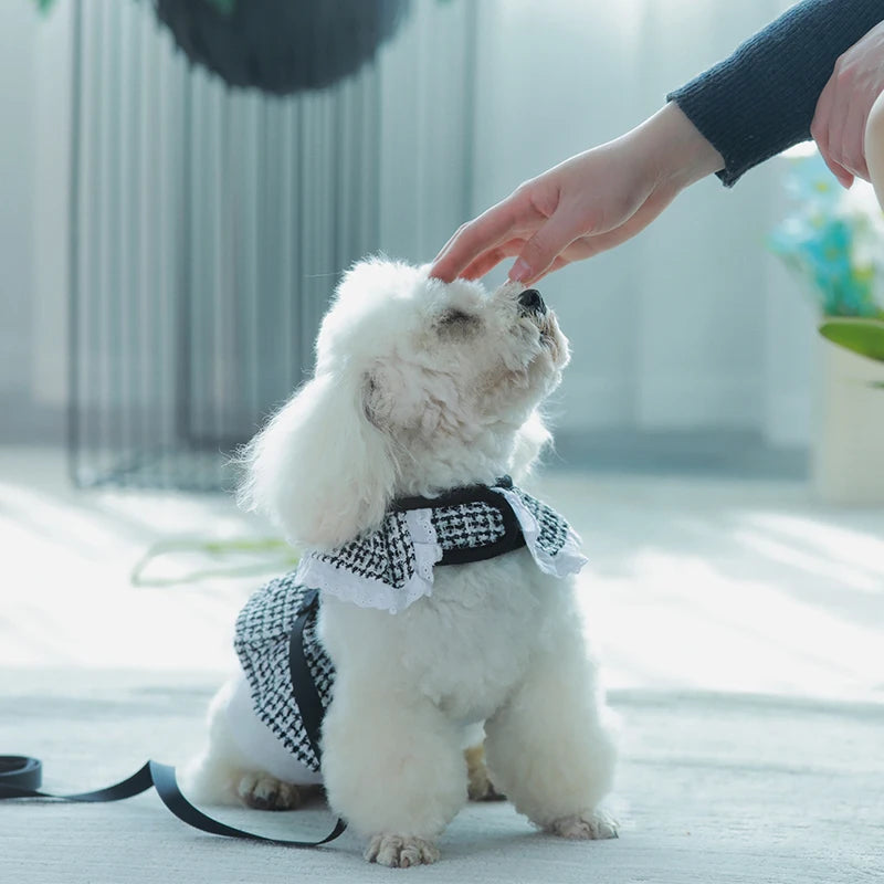 Luxury Shirt Dress Pets Outfits Leash Clothes Small Dog Party Skirt Puppy Sublimation Custom Dog Harness Design Dog Summer - Fold Paws