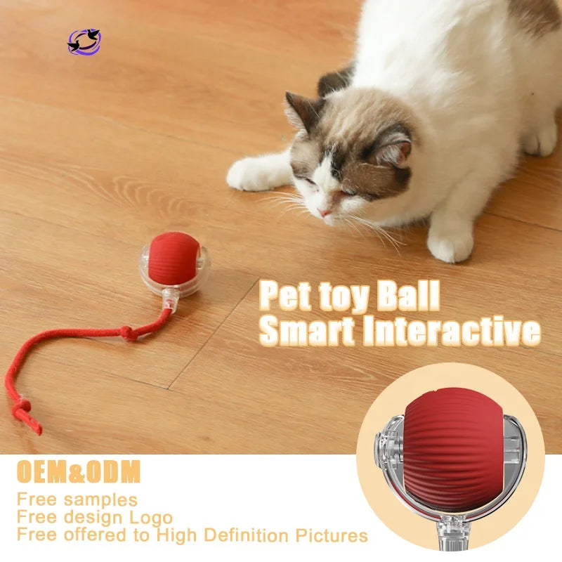 Adjustable Paw Print Pet Collar – Breakaway Nylon Design with Bell for Cats & Small Dogs - Fold Paws