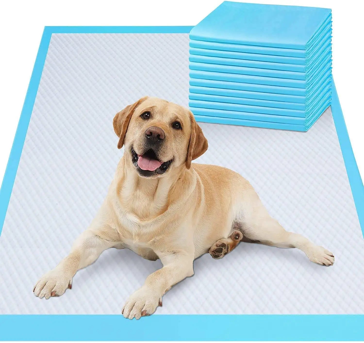 Disposable Dog Pee Pads – Leak-Proof Puppy Training Mats with Quick-Dry & Odor Control - Fold Paws