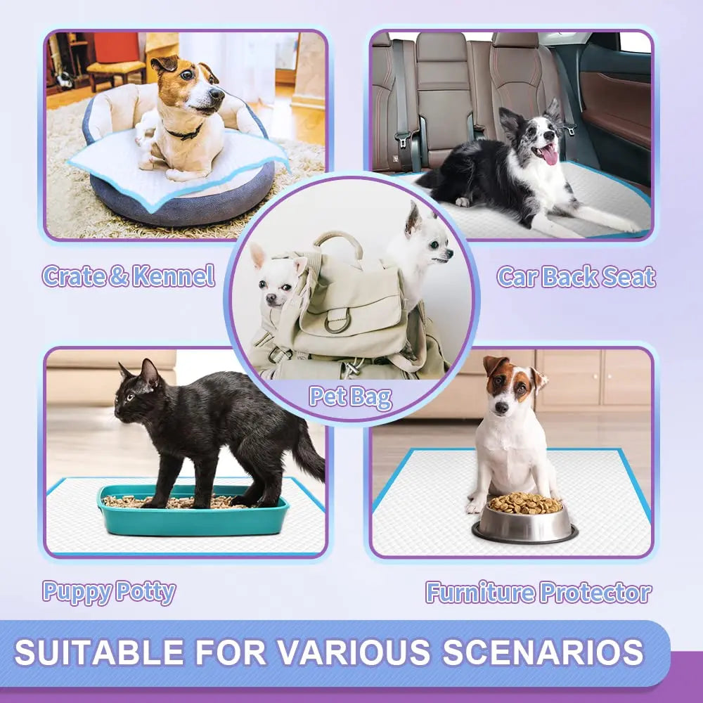 Disposable Dog Pee Pads – Leak-Proof Puppy Training Mats with Quick-Dry & Odor Control - Fold Paws