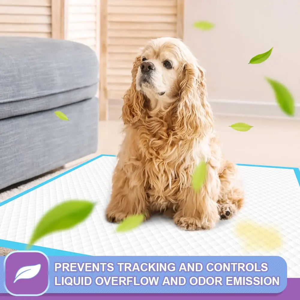 Disposable Dog Pee Pads – Leak-Proof Puppy Training Mats with Quick-Dry & Odor Control - Fold Paws