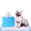 Disposable Dog Pee Pads – Leak-Proof Puppy Training Mats with Quick-Dry & Odor Control - Fold Paws