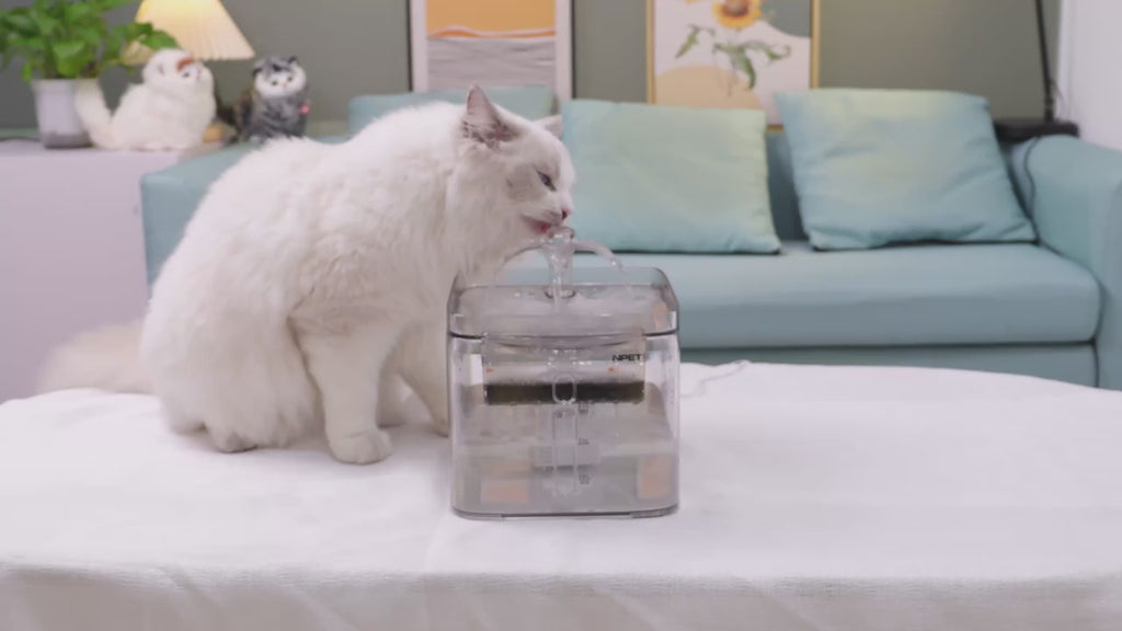 Automatic Cat Water Fountain, 3L/101oz – Triple Filtration, Ultra-Quiet, 3 Flow Modes (Clear)